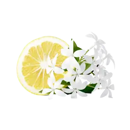 Limone - Minze - Ingwer