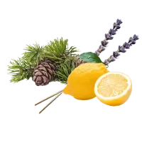 product variant thumbnail